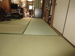 No.71 シロアリは、怖いですねえ。